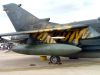Filename=RIAT-122.jpg
Filesize=46KB
Dimensions=800x600
Date added=Jun 08, 2005 RIAT-122.jpg