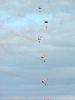 Filename=RIAT-143.jpg
Filesize=15KB
Dimensions=600x800
Date added=Jun 08, 2005 RIAT-143.jpg