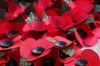 remembrance-103.jpg