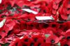 remembrance-95.jpg